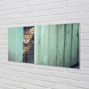 Nástenný panel  Zaglądający cat 120x60 cm