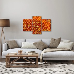 Obraz - Medový plást (90x60 cm)