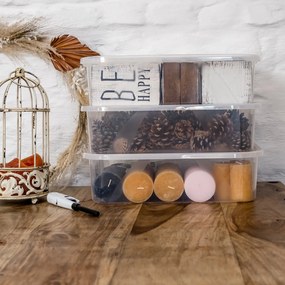 Úložný box, transparentný box s vekom, Rotho LONA, 57x39x34 (50 l)