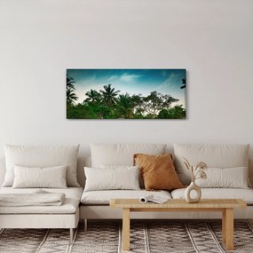 Obraz - palmy (120x50 cm)