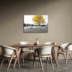 Obraz - Odpočinok v parku (70x50 cm)
