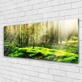 Obraz na akrylátovom skle Mech les príroda 125x50 cm