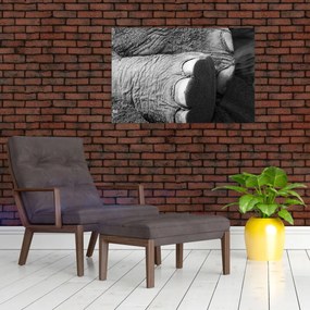 Obraz - Slonia noha (90x60 cm)