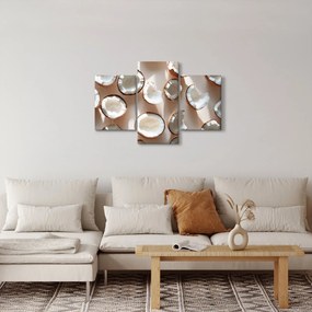 Obraz - Kokosové orechy (90x60 cm)