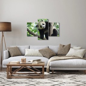 Obraz - Panda na strome (90x60 cm)