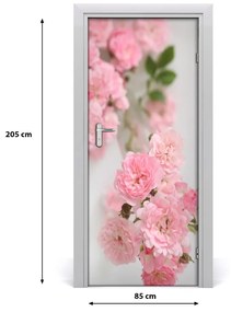 Fototapeta na dvere divoká ruža 85x205 cm