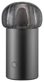 LED prenosné stmievateľné vonkajšie svietidlo na USB ø 10 cm Iris – Blomus