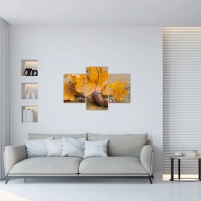 Obraz - Jesenné žalude (90x60 cm)