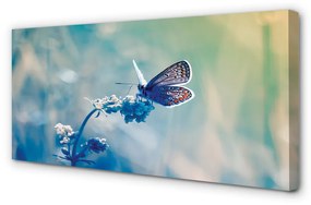 Obraz na plátne farebný motýľ 120x60 cm