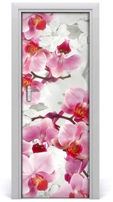 Fototapeta na dvere ružová orchidea 75x205 cm