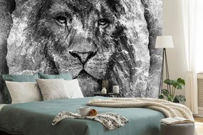 Samolepiaca tapeta čiernobiely pohľad leva