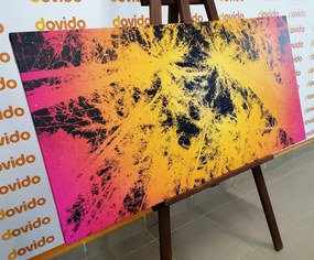 Obraz západ slnka v tropickom lese