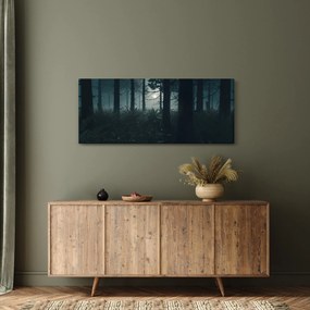 Obraz - Paprade v mesačnom svite (120x50 cm)