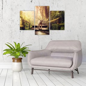Obraz tigra (90x60 cm)