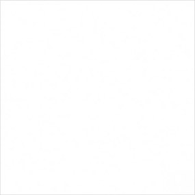 Monolook White 59,8/59,8