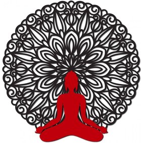 Mandala 3D obraz na stenu Buddha mandala farebné prevedenie I SENTOP PR0362 3D Paywood