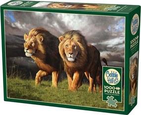 Puzzle Blížiaca sa búrka 1000 dielikov