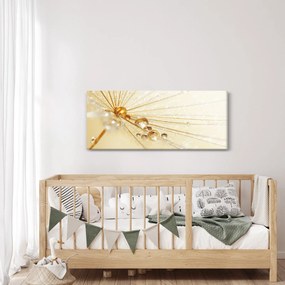 Obraz - Makro fotografie púpavy (120x50 cm)