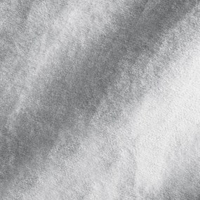 ZATEMŇOVACÍ ZÁVES NA PÁSKE CAMERON 140X270 CM STRIEBORNÁ