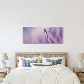 Obraz - Fialové motýliky (120x50 cm)