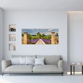 Obraz - Levanduľové cesty (120x50 cm)