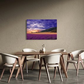 Obraz levanduľovej lúky (90x60 cm)
