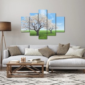 Obraz stromov (150x105 cm)