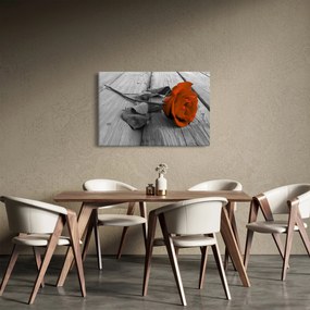 Obraz - Oranžová ruža (90x60 cm)