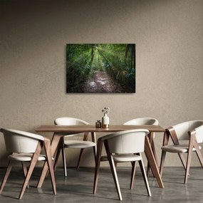 Sklenený obraz - Slnečné lúče v džungli (70x50 cm)