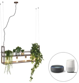 Inteligentné závesné svietidlo hrdzavohnedé s poličkou vrátane 4 Wifi A60 - Cage Rack