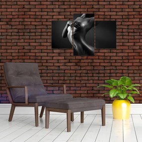 Obraz - Akt ženy (90x60 cm)