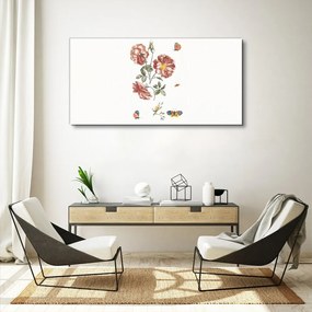 Obraz na plátne Kvety motýlské rastliny