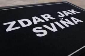 Mercury Flooring, Rohožka Zdar jak sviňa 40x60 cm – na von aj na doma, 40x60, čierna