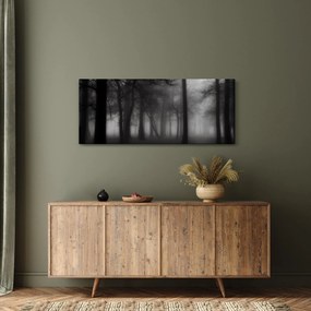 Obraz - Les v hmle (120x50 cm)