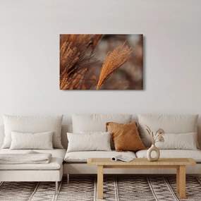 Obraz - Kortadéria (90x60 cm)