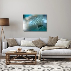 Sklenený obraz - Púpava - petrolej (70x50 cm)