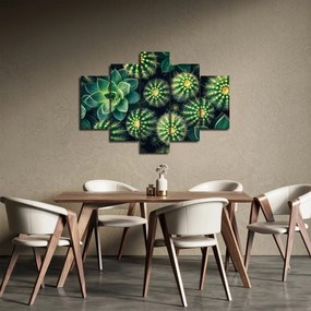 Obraz - Kaktusy (150x105 cm)