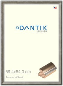 DANTIK rám na obraz 59,4x84 | ANIVERSA stříbrná (Plexi Čiré)