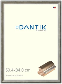 DANTIK rám na obraz 59,4x84 | ANIVERSA stříbrná (Plexi Čiré)