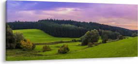 Obraz lúky (120x50 cm)