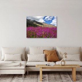 Obraz scenérie horské lúky (70x50 cm)