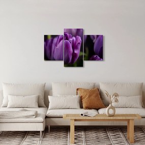 Obraz kvetov tulipánov (90x60 cm)