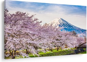 Obraz - Japonsko na jar (90x60 cm)