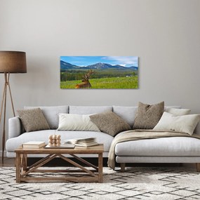 Obraz - Jeleň v lúke (120x50 cm)