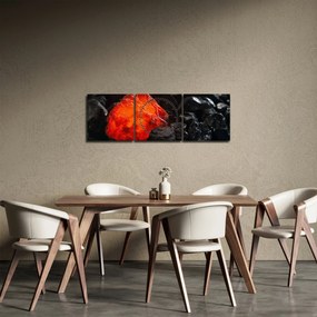 Obraz - Žeravý nerast (s hodinami) (90x30 cm)