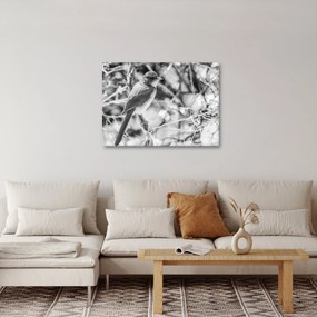 Obraz - Modrý vták v zime (70x50 cm)