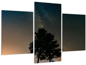 Obraz nočnej oblohy so stromami (90x60 cm)