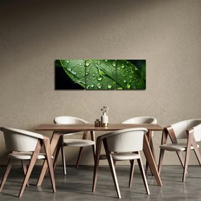 Obraz - List po daždi (s hodinami) (90x30 cm)