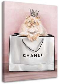 Gario Obraz na plátne Mačka v taške Chanel Rozmery: 60 x 90 cm