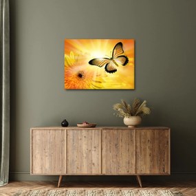 Obraz - Žltý motýľ s kvetom (70x50 cm)